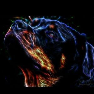 Meet your Posher, Frank